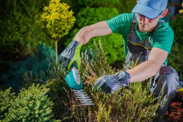 landscaping services Shields